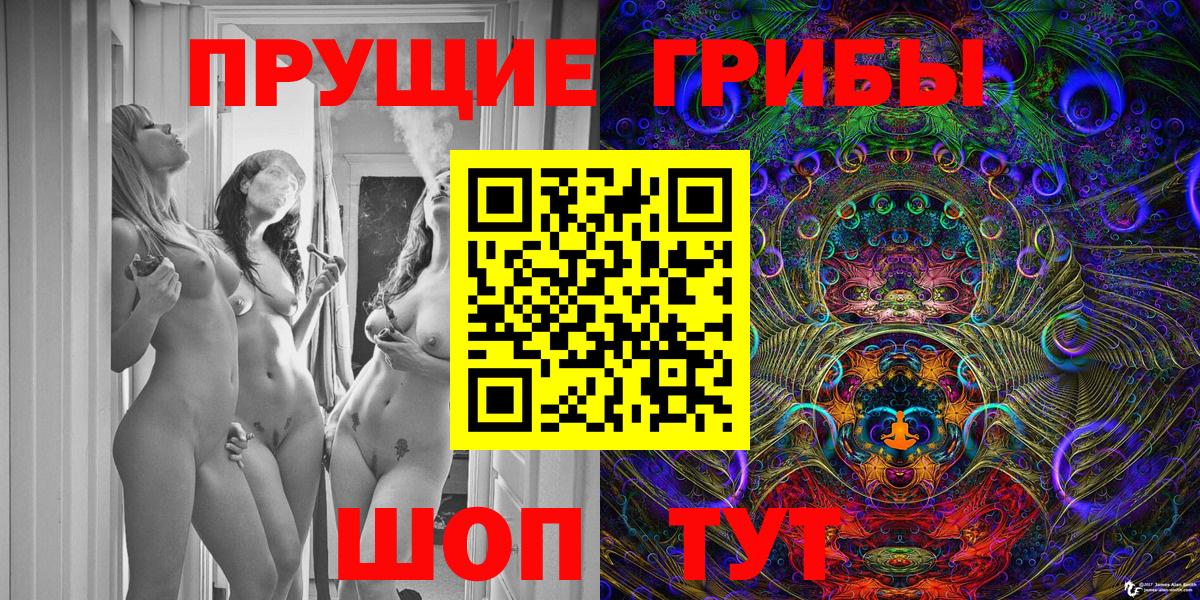 Заводоуковск  Псилоцибиновые грибы Psilocybe  Вход с VPN 