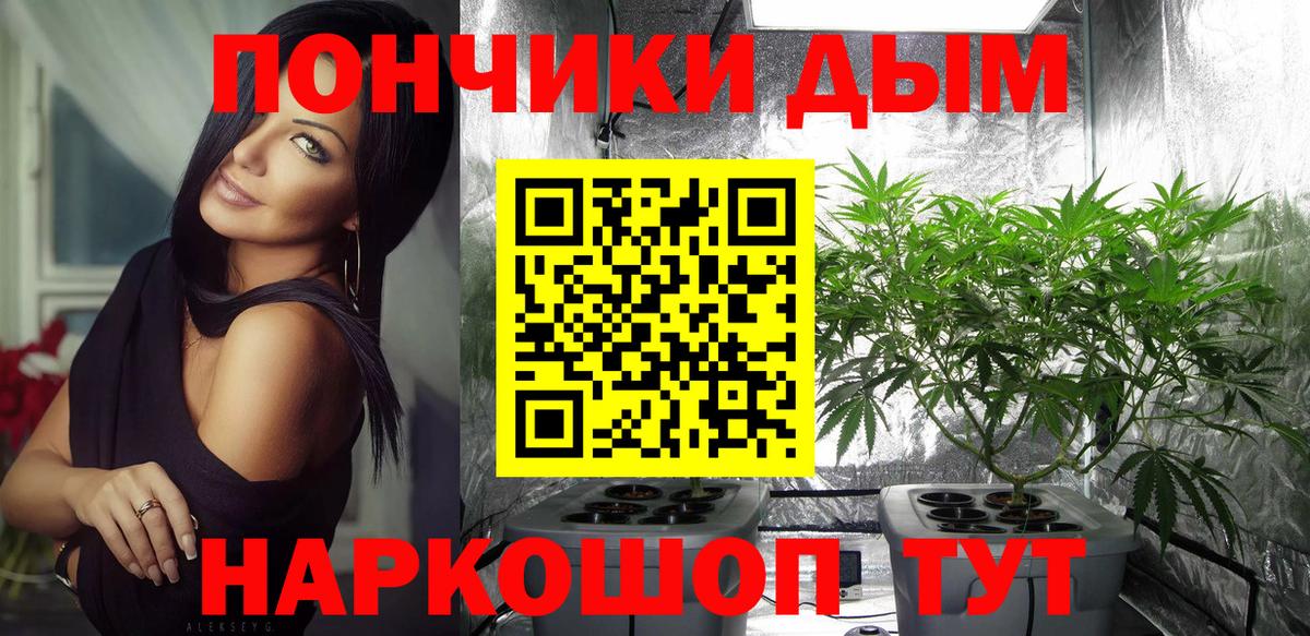 Бошки марихуана план  Канабис VHQ  Заводоуковск  Вход с VPN 